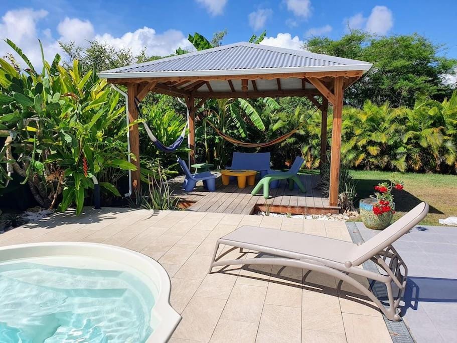 Garden, Pool view, Swimming pool, sunbed