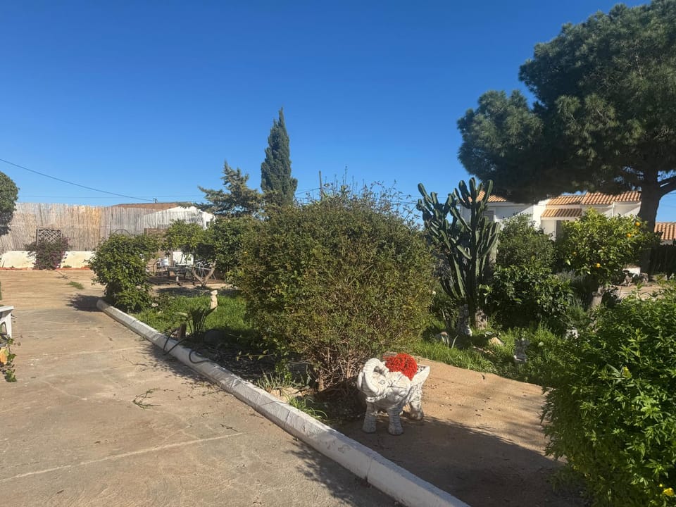 Tara Casa Bed and Breakfast in Region of Murcia