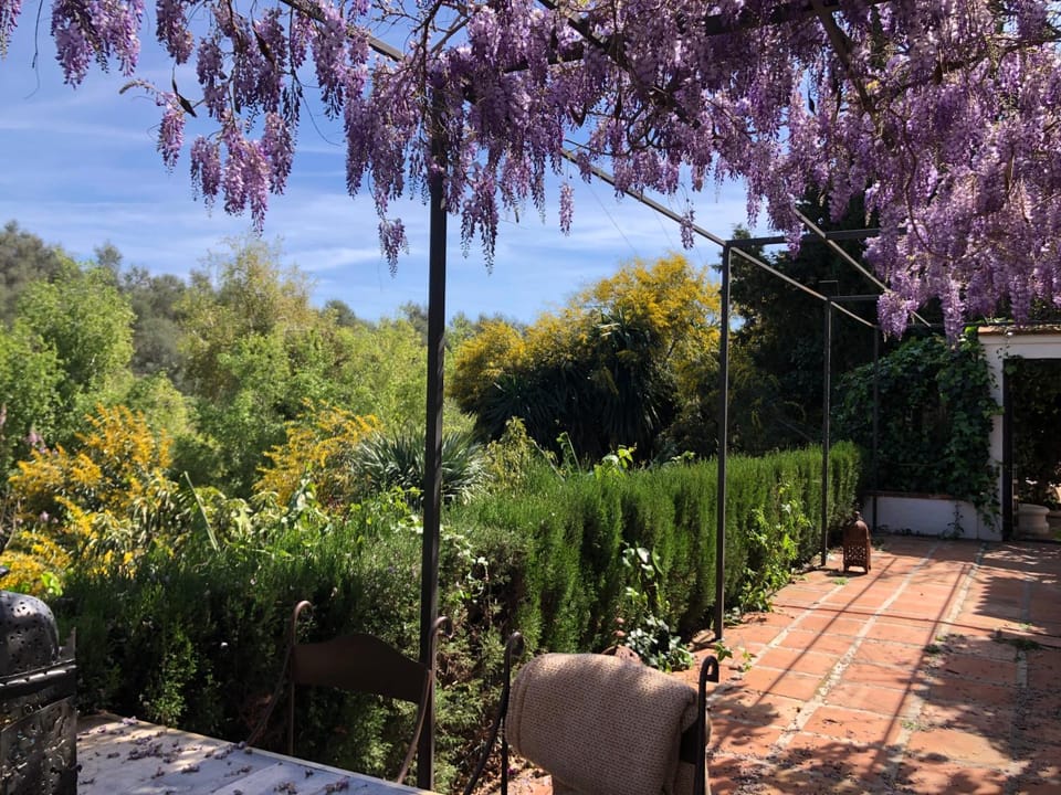 Day, Garden, Garden, Balcony/Terrace, Garden view