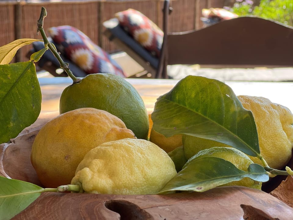 Boutique Finca Stay in Nature Hotel in Fuengirola