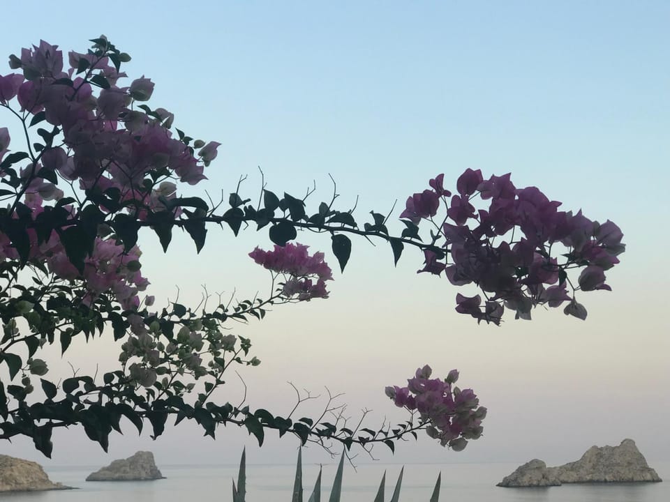 Spring, Natural landscape, Sea view, Sunset