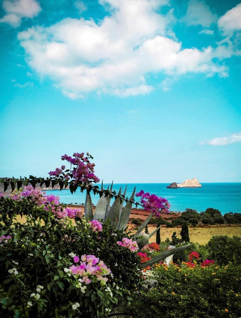 Day, Natural landscape, Garden, Garden view, Sea view
