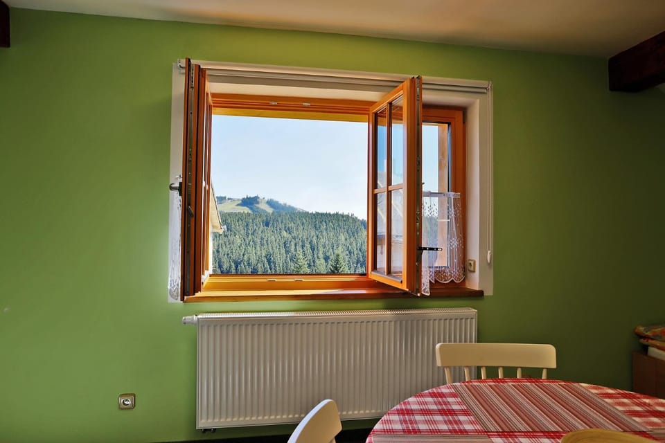 Apartments Bayer - ex Apartments Pavel Apartment in Saxony