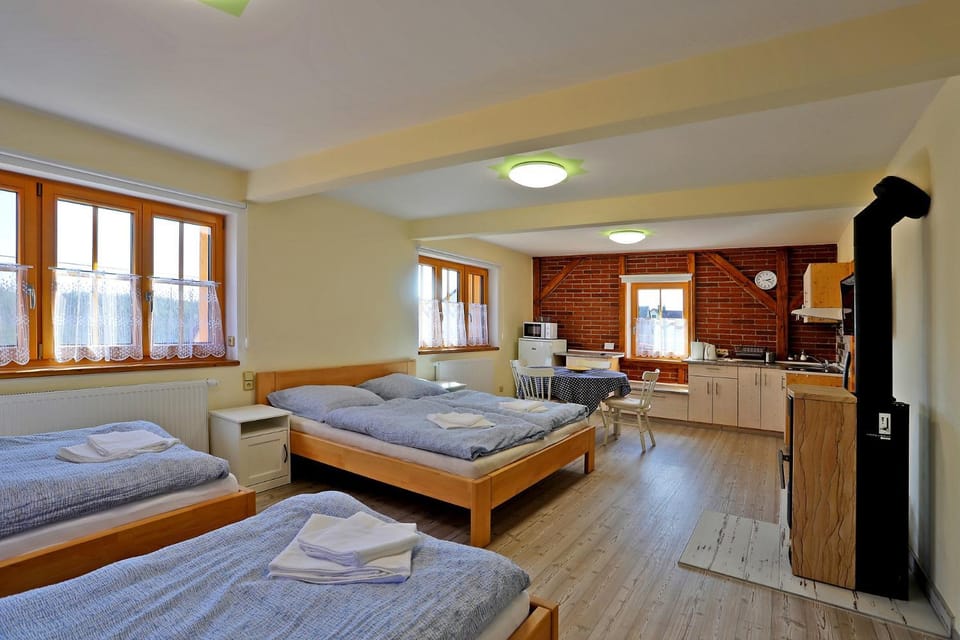 Apartments Bayer - ex Apartments Pavel Apartment in Saxony