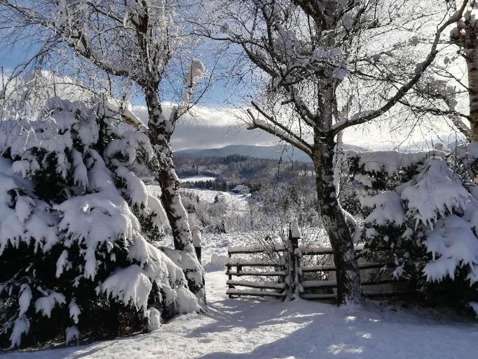 Property building, Natural landscape, Winter, Mountain view