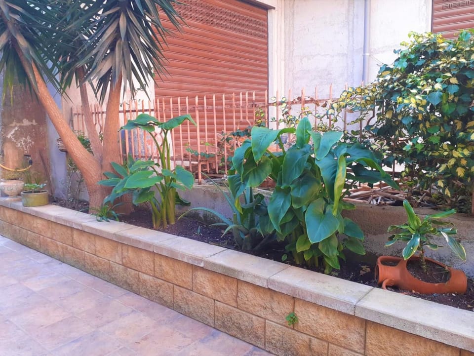 Property building, Garden, Balcony/Terrace