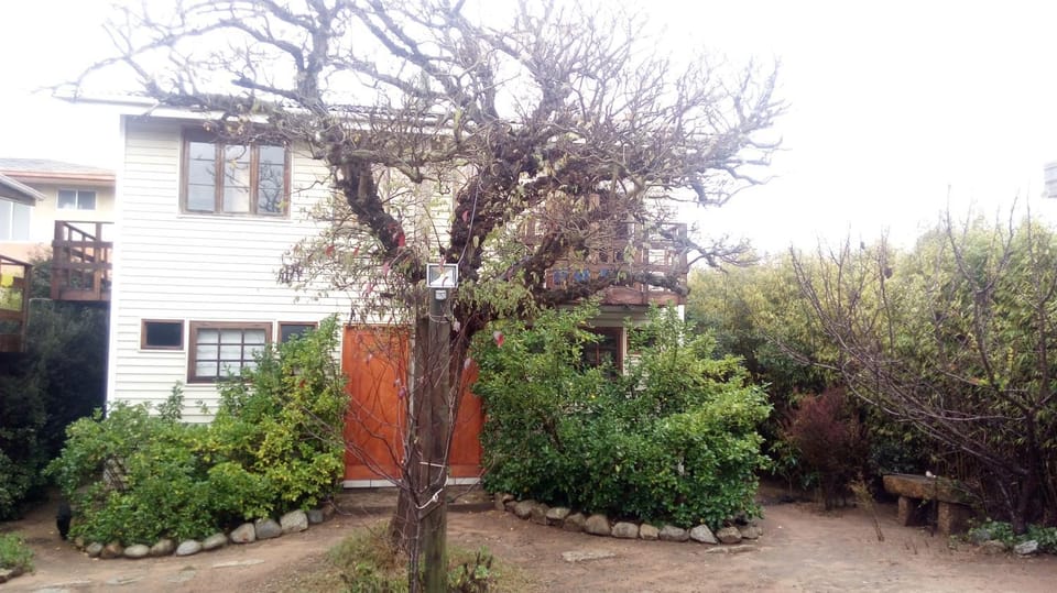 Patio, Garden