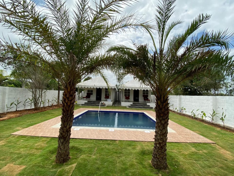 Garden, Garden view, Pool view, Swimming pool, sunbed