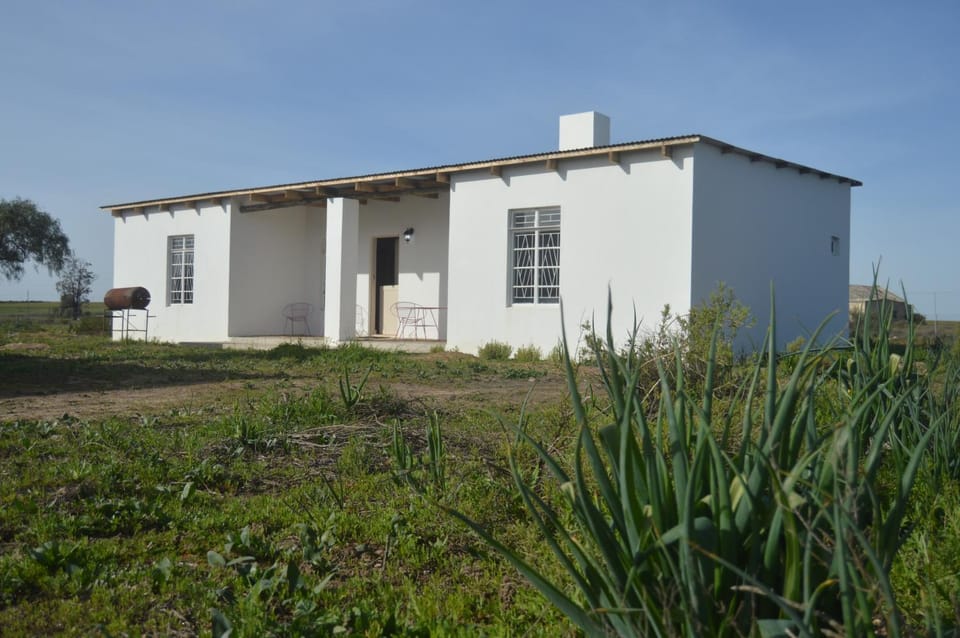 Property building, Garden view