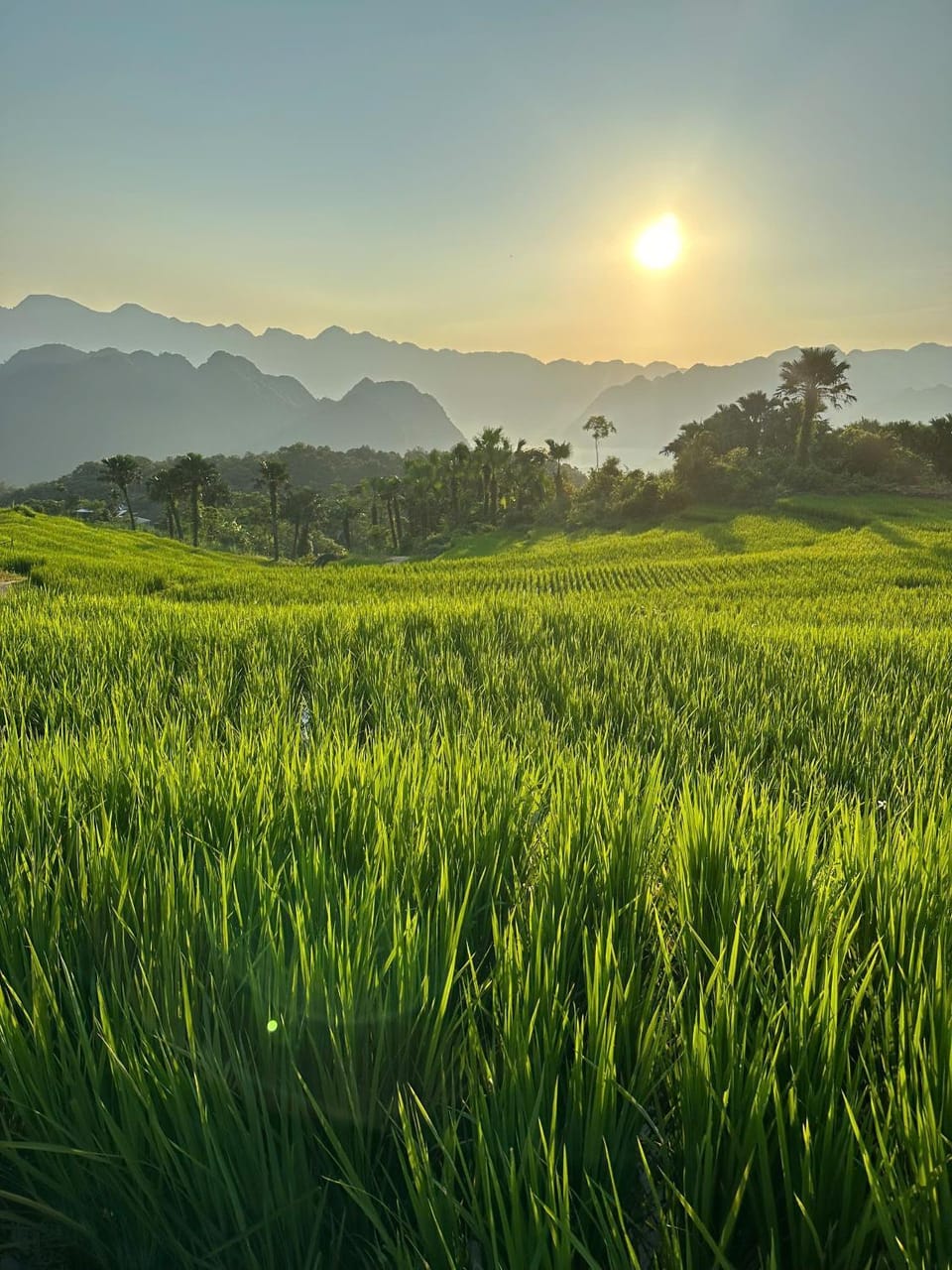 Natural landscape, Mountain view, Sunrise, Sunset