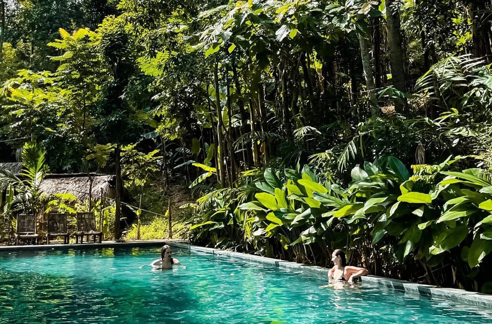 Activities, Swimming pool, Swimming pool