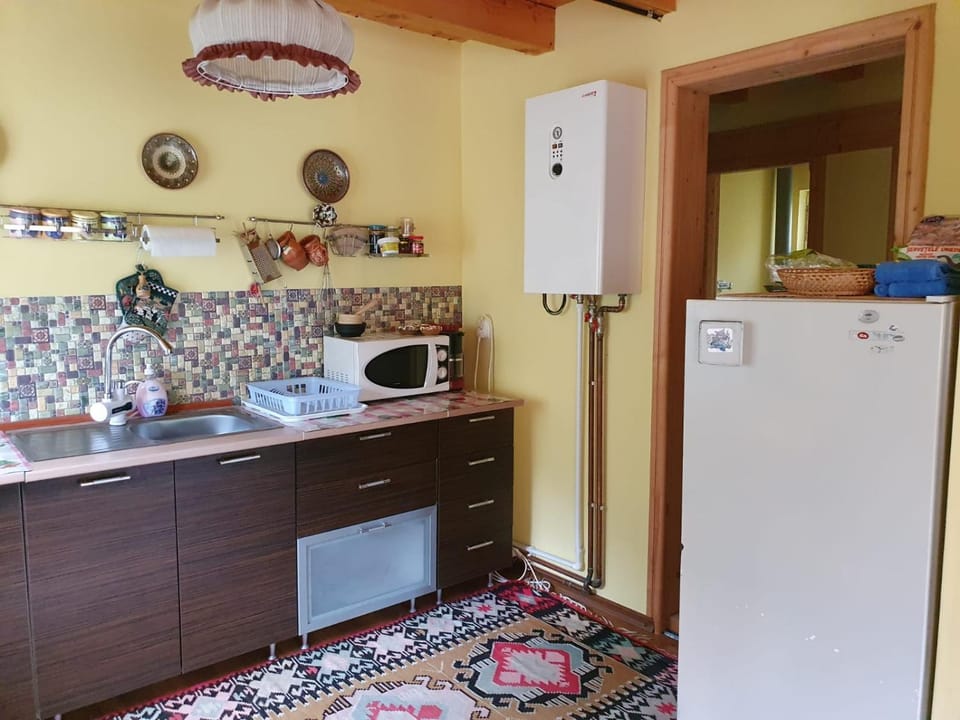 Casa Dor de Ea Nature lodge in Brașov County