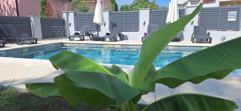 Day, Swimming pool, sunbed