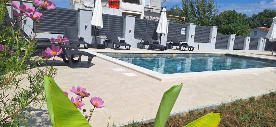 Spring, Pool view, Swimming pool, sunbed