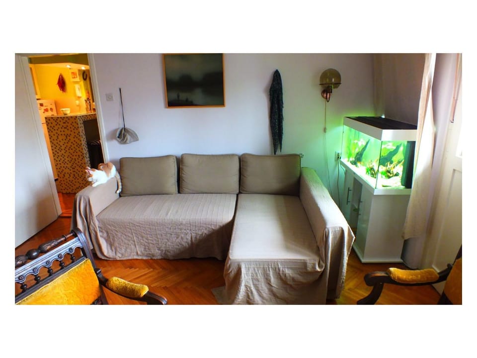 Bed, Living room, Bedroom