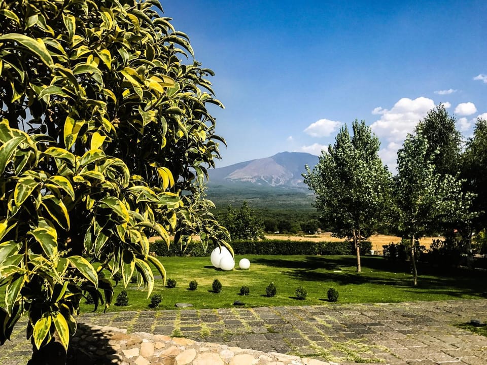 Nearby landmark, Day, Natural landscape, Garden, Garden view, Mountain view