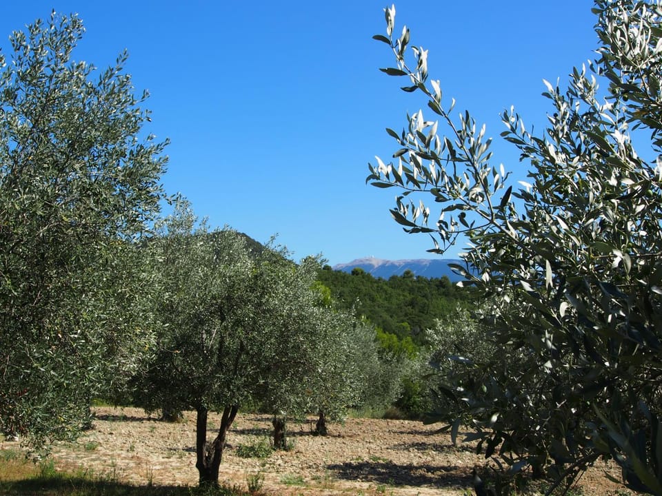 La Drugère - Gîtes et Roulottes House in Provence-Alpes-Côte d'Azur
