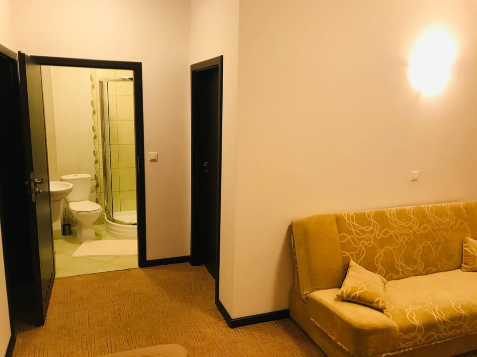 Bathroom, Living room, Seating area