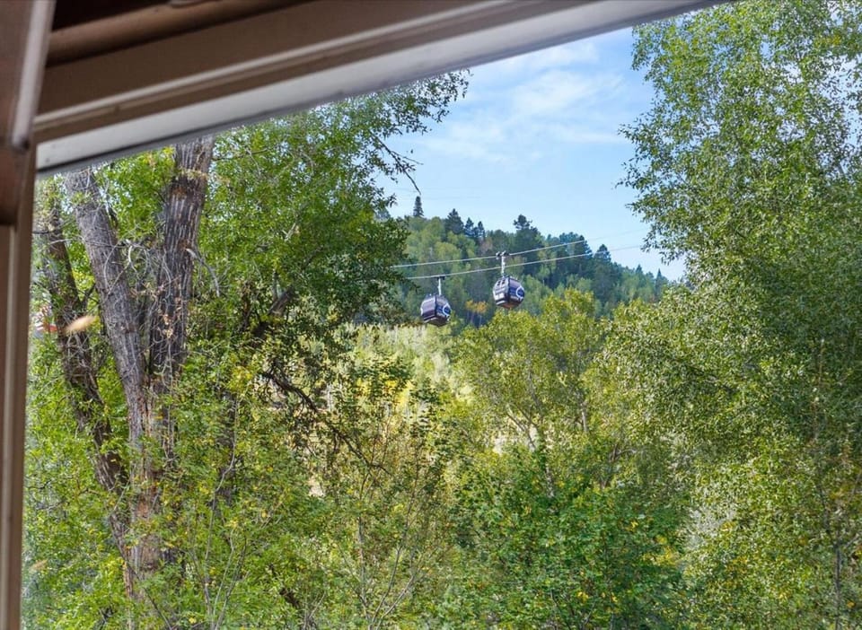 Day, Garden view