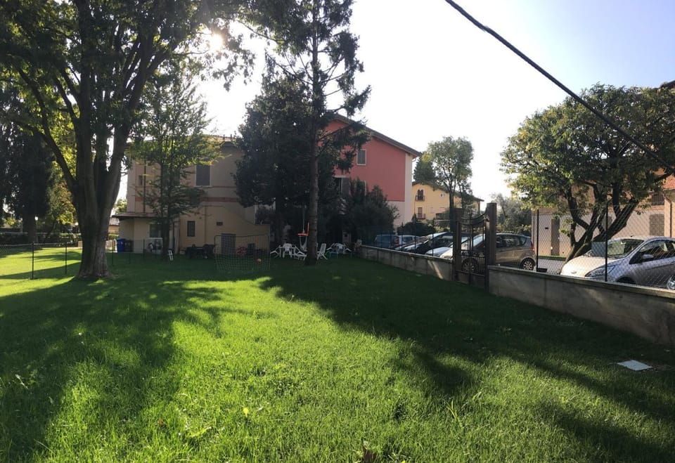 Patio, Garden, Garden view