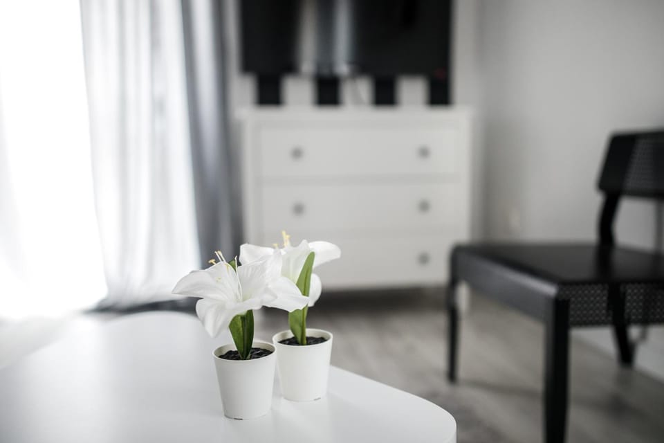 Apartament Nadbystrzycka no.14 Apartment in Masovian Voivodeship