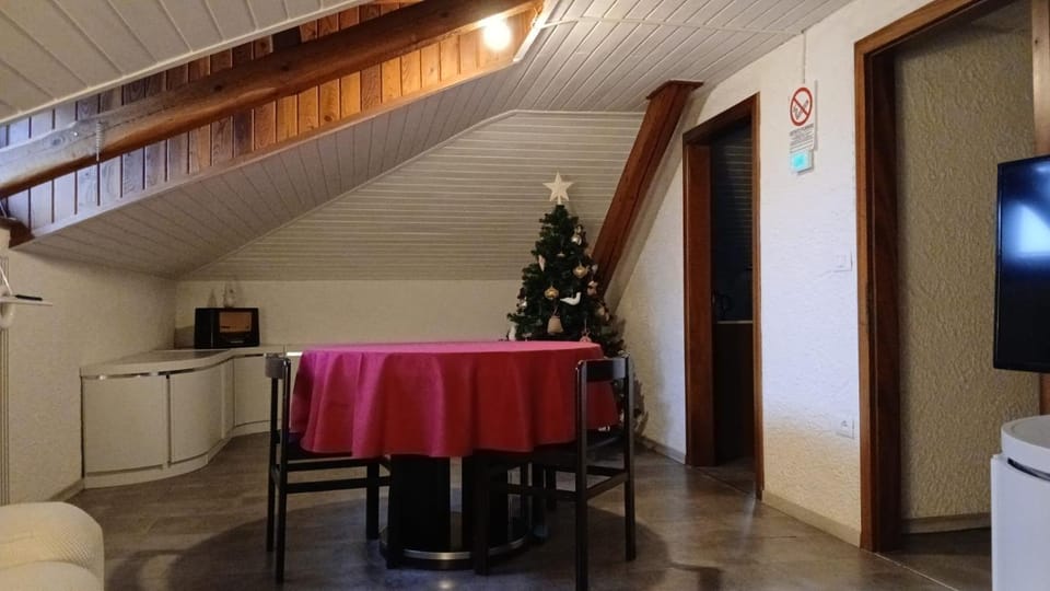 Ampia Mansarda a Dimaro in Val di Sole Apartment in Trentino-South Tyrol