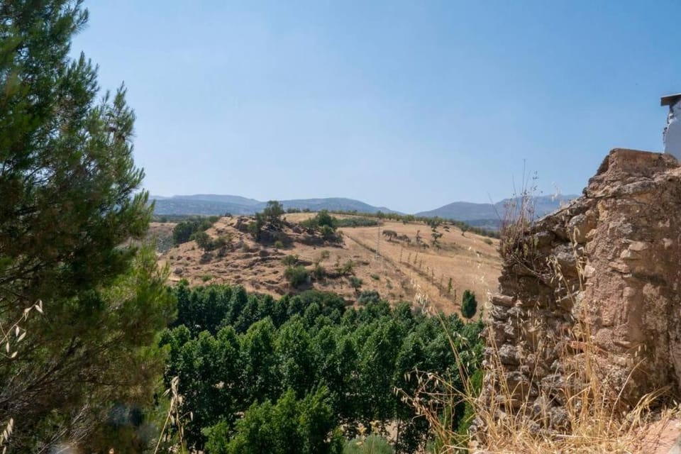 Mountain view