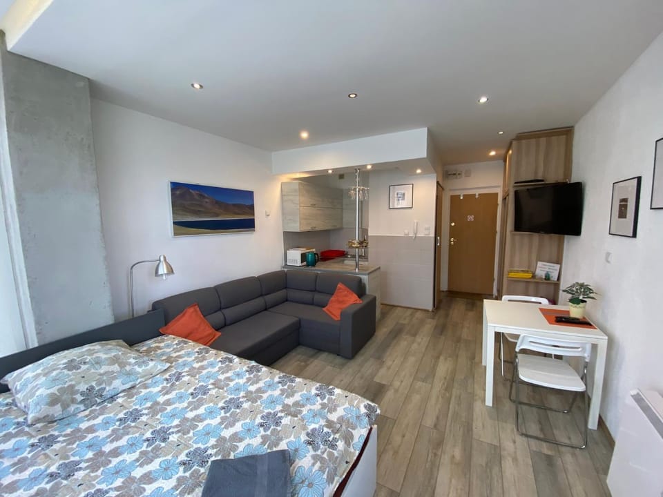 Bed, TV and multimedia, Kitchen or kitchenette, Living room, Photo of the whole room, Seating area, oven, stove