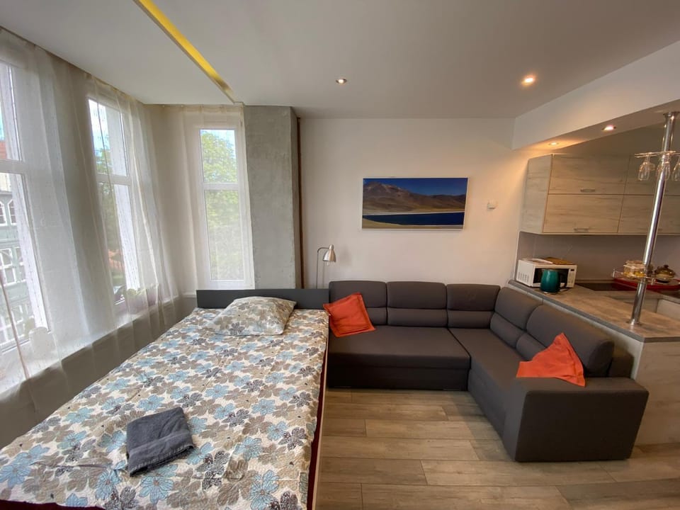 Bed, Kitchen or kitchenette, Living room, Seating area