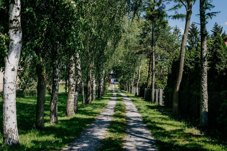 Spring, Natural landscape