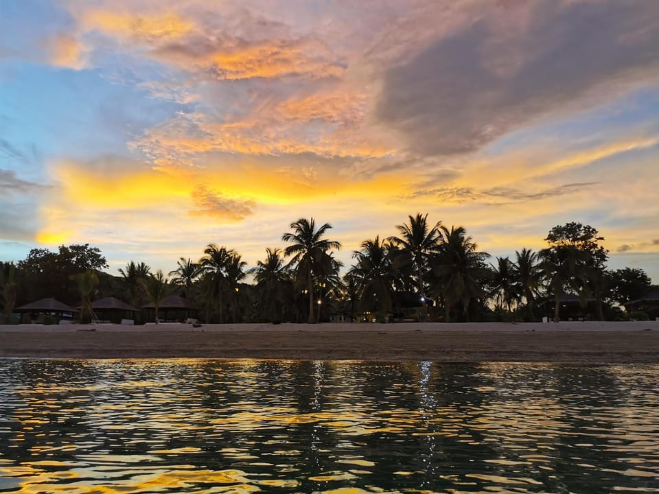 Natural landscape, Beach, Sunset