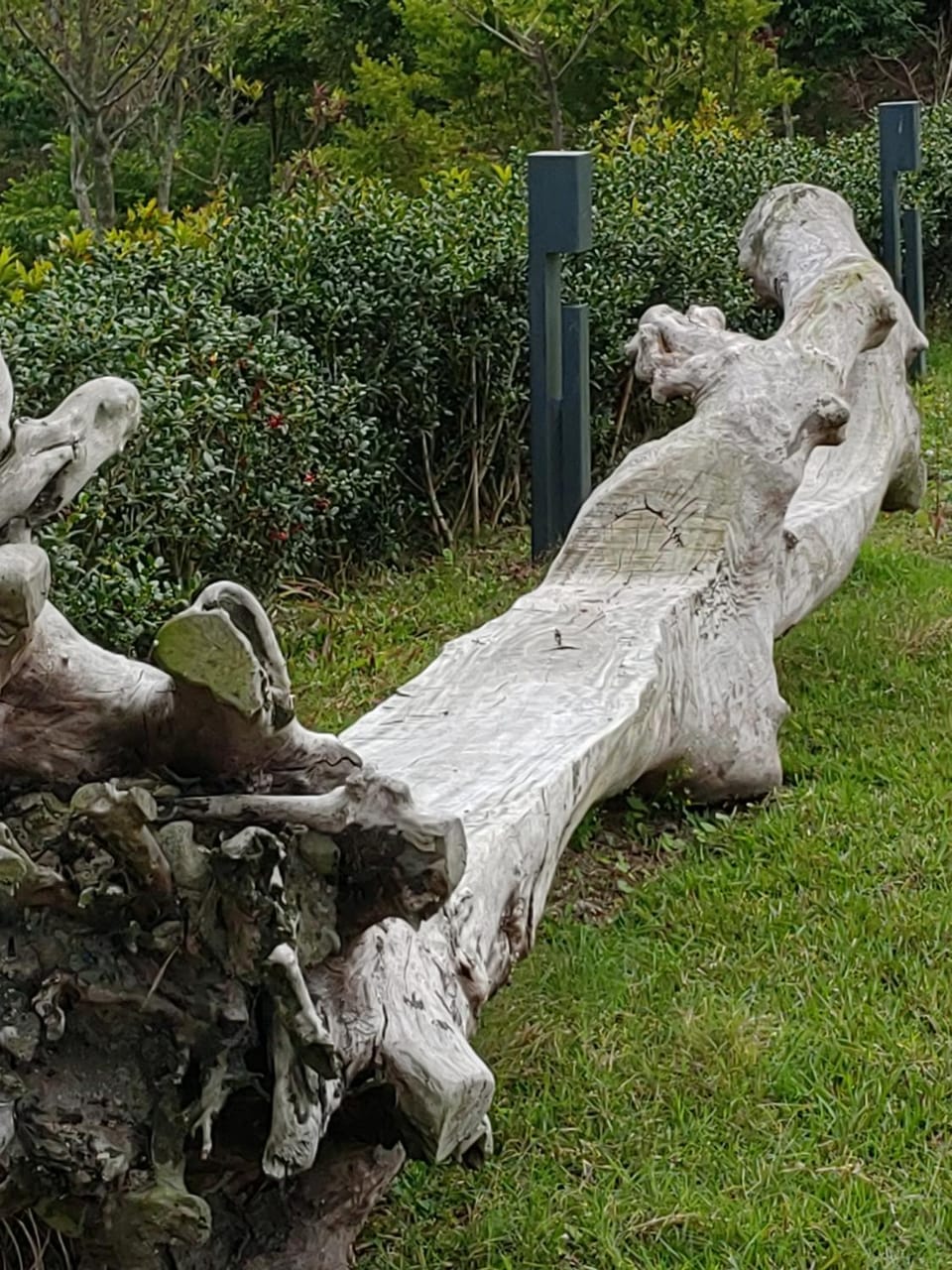Natural landscape