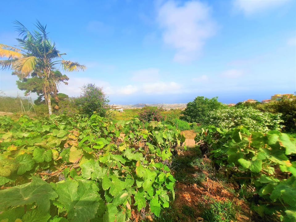 Garden, Garden view