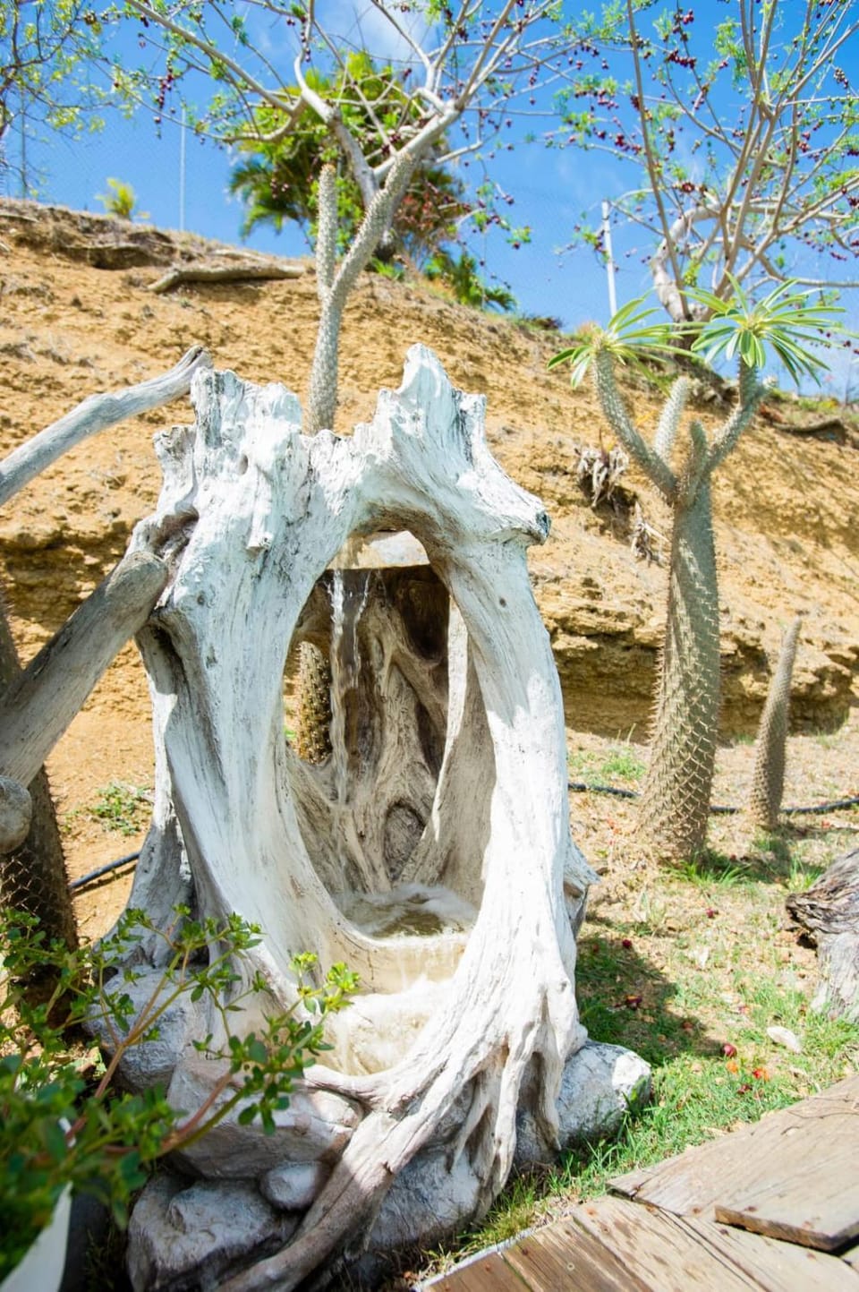 Natural landscape