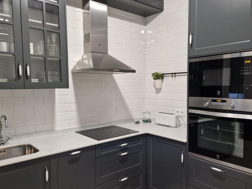 Kitchen or kitchenette, dishwasher, minibar, pet friendly, stove