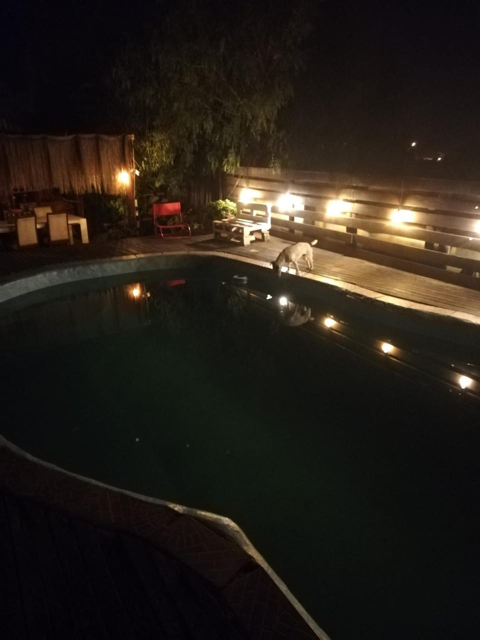 Pool view