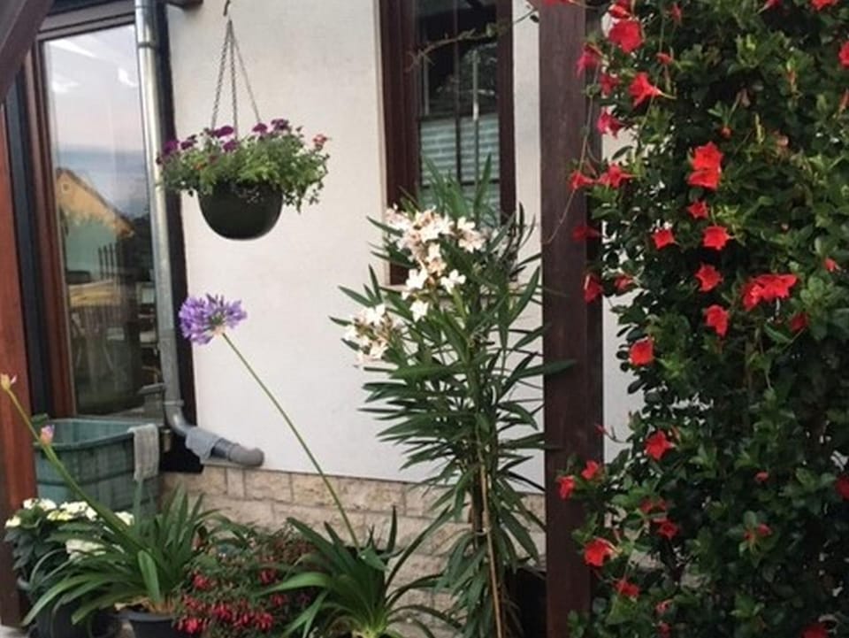 Patio, Facade/entrance