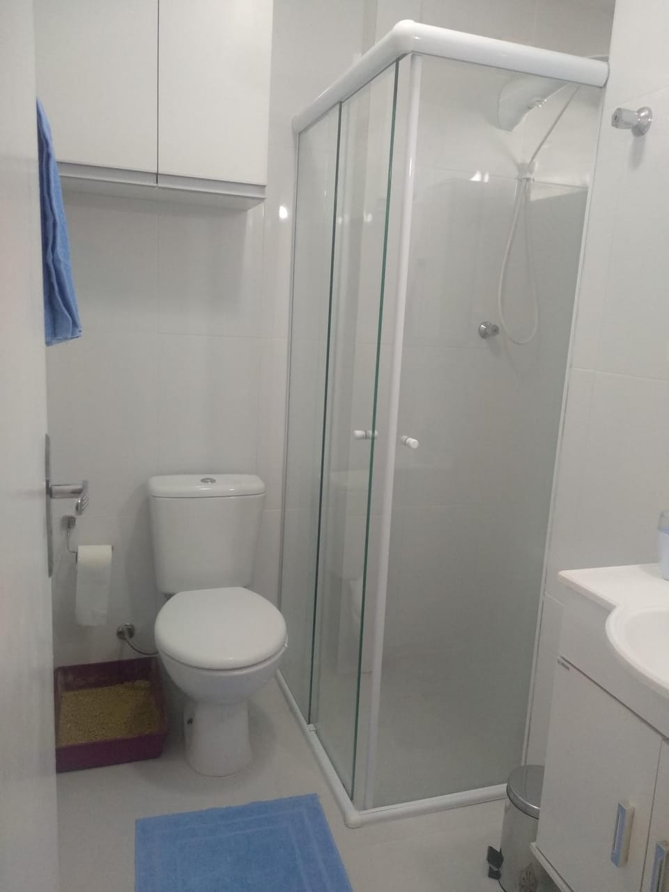 Shower, Toilet, Bathroom, towels