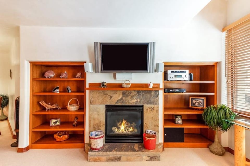 Mountain Village Dream Apartment in Telluride
