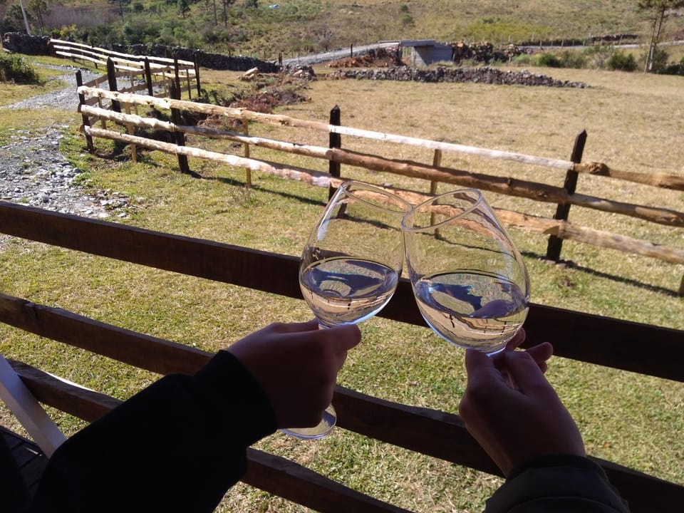 Cabanas Fazenda da Raia Bed and Breakfast in State of Santa Catarina
