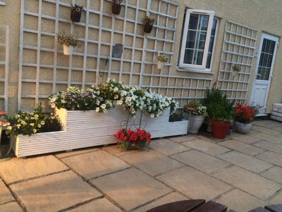Patio, Garden