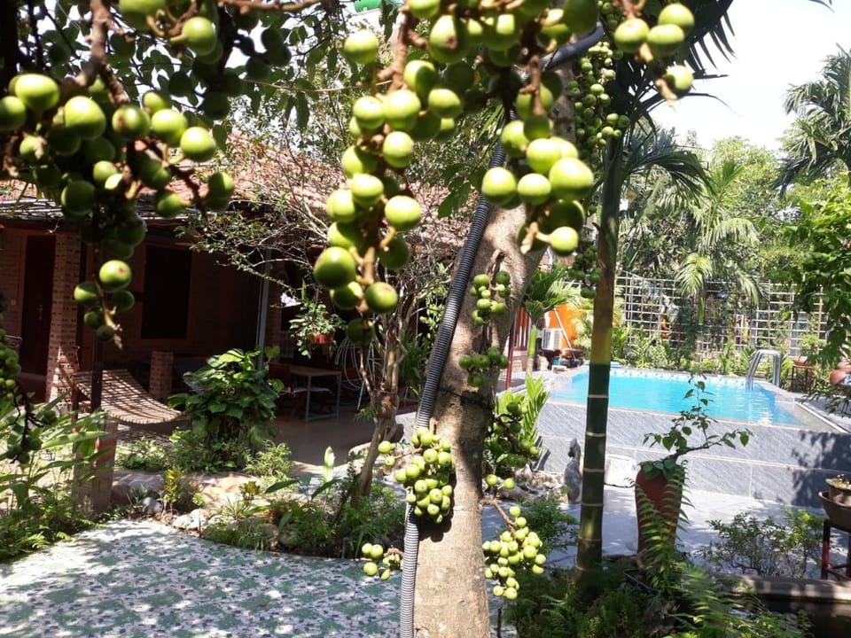 Patio, Day, Garden, Swimming pool