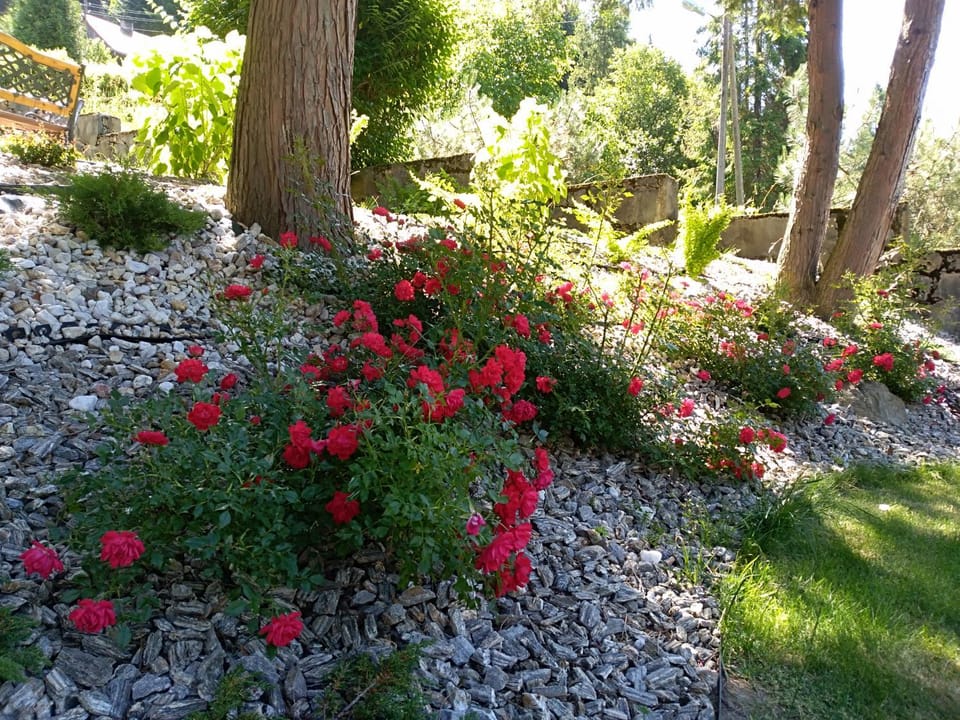Garden, Garden view