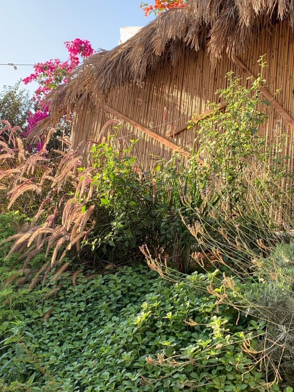 אוהל לוט Farm Stay in South District