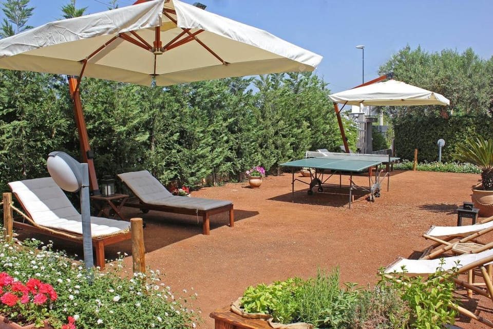 Garden, Garden view, sunbed
