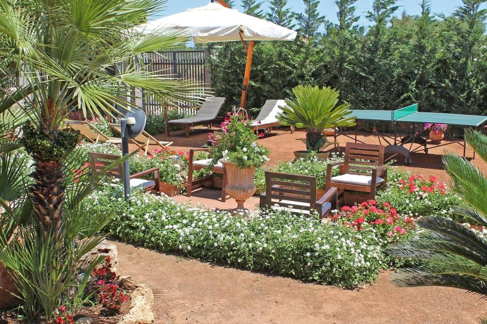 Garden, Garden view, sunbed