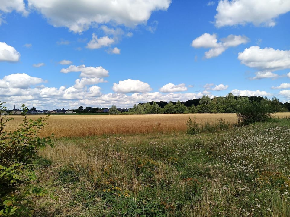 Natural landscape