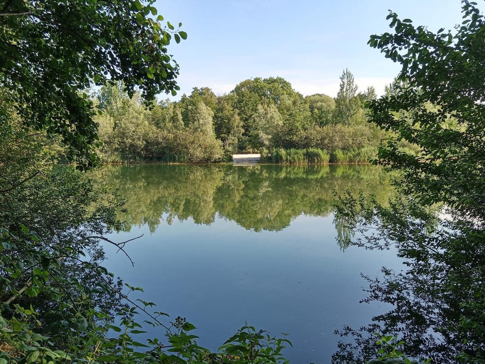 Lake view