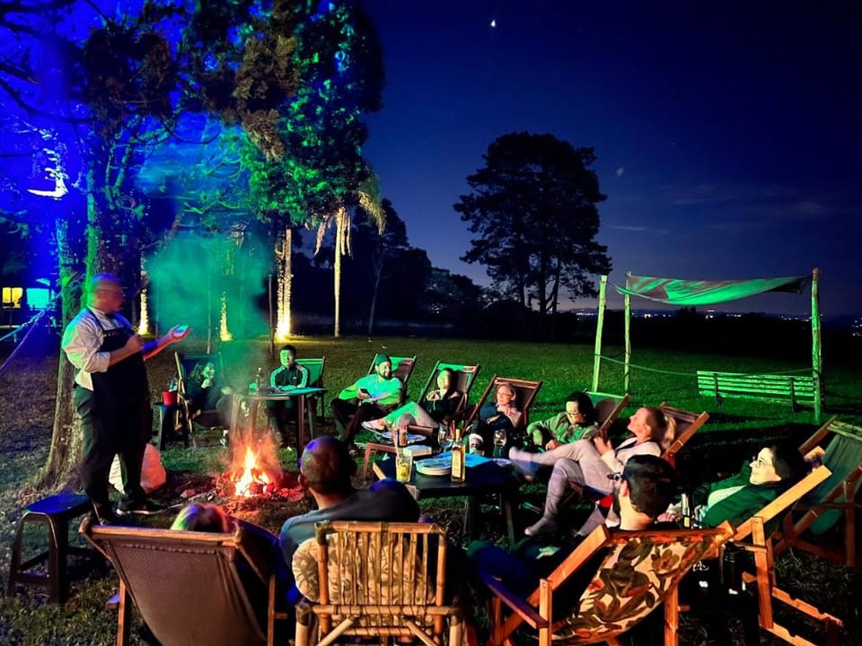 Night, People, Garden, Evening entertainment, group of guests