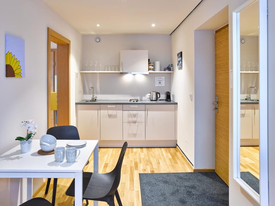 Kitchen or kitchenette, Dining area, stove